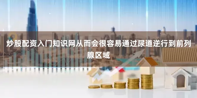 炒股配资入门知识网从而会很容易通过尿道逆行到前列腺区域
