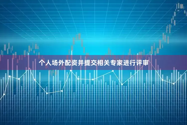 个人场外配资并提交相关专家进行评审