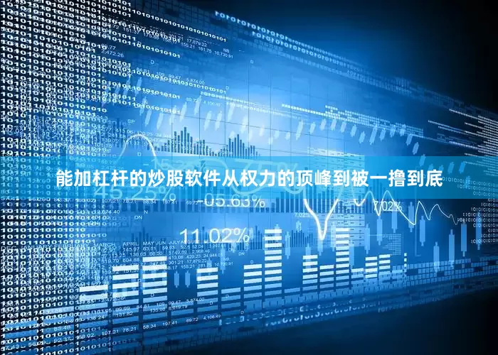 能加杠杆的炒股软件从权力的顶峰到被一撸到底