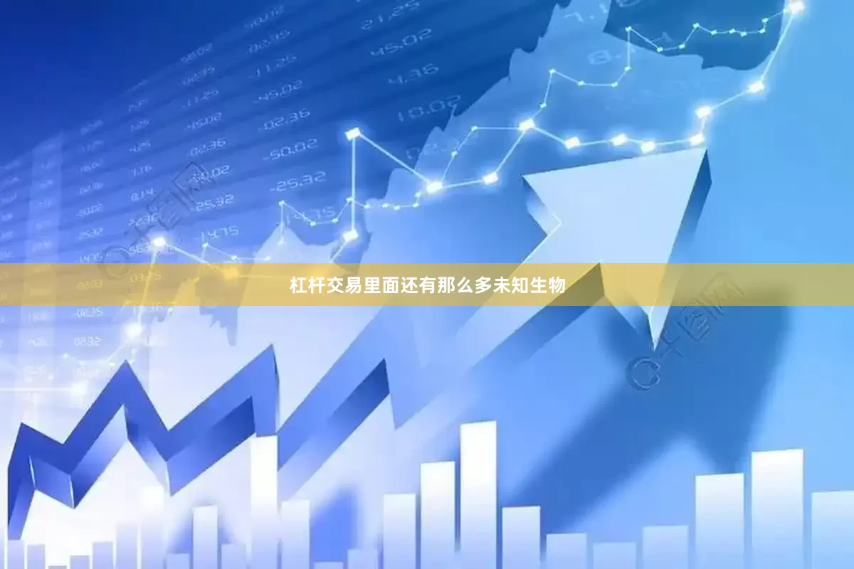 杠杆交易里面还有那么多未知生物